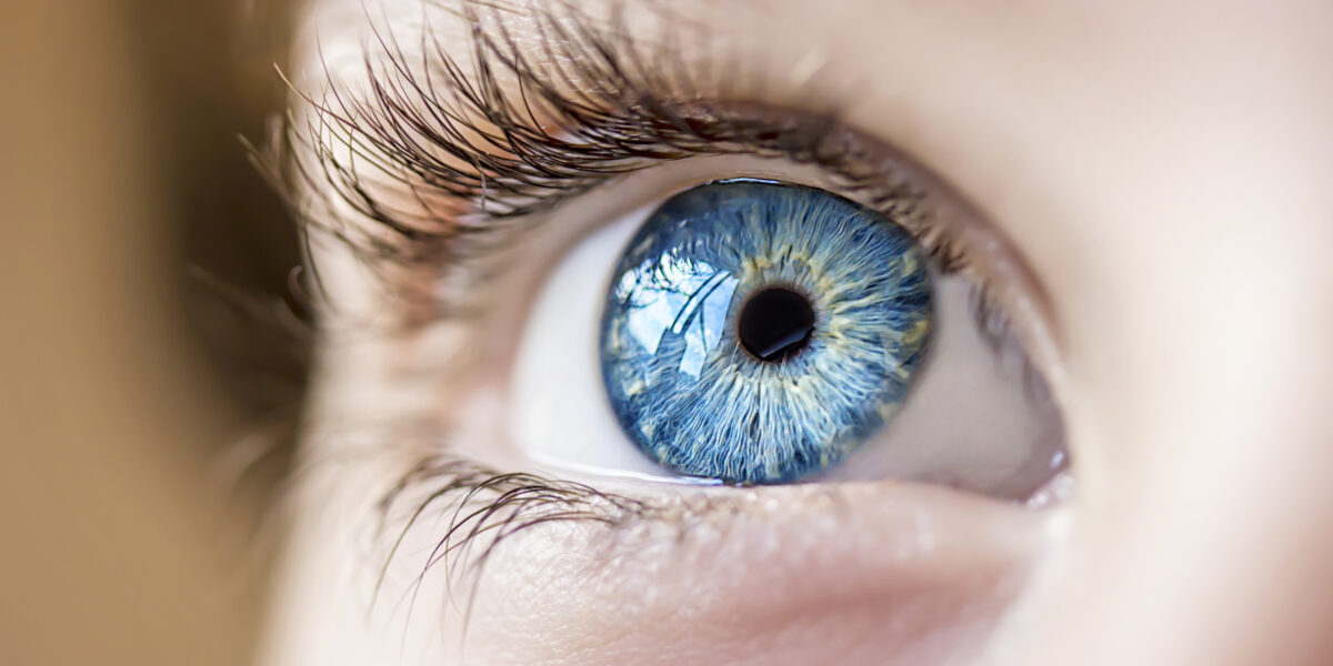 Ojo humano — fotografía macro de primer plano